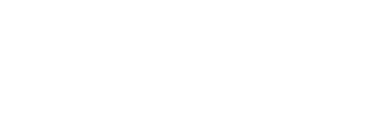 Detective Verdict
